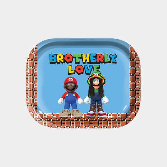 Plateau Mario & Luigi - Brotherly Love (Small)