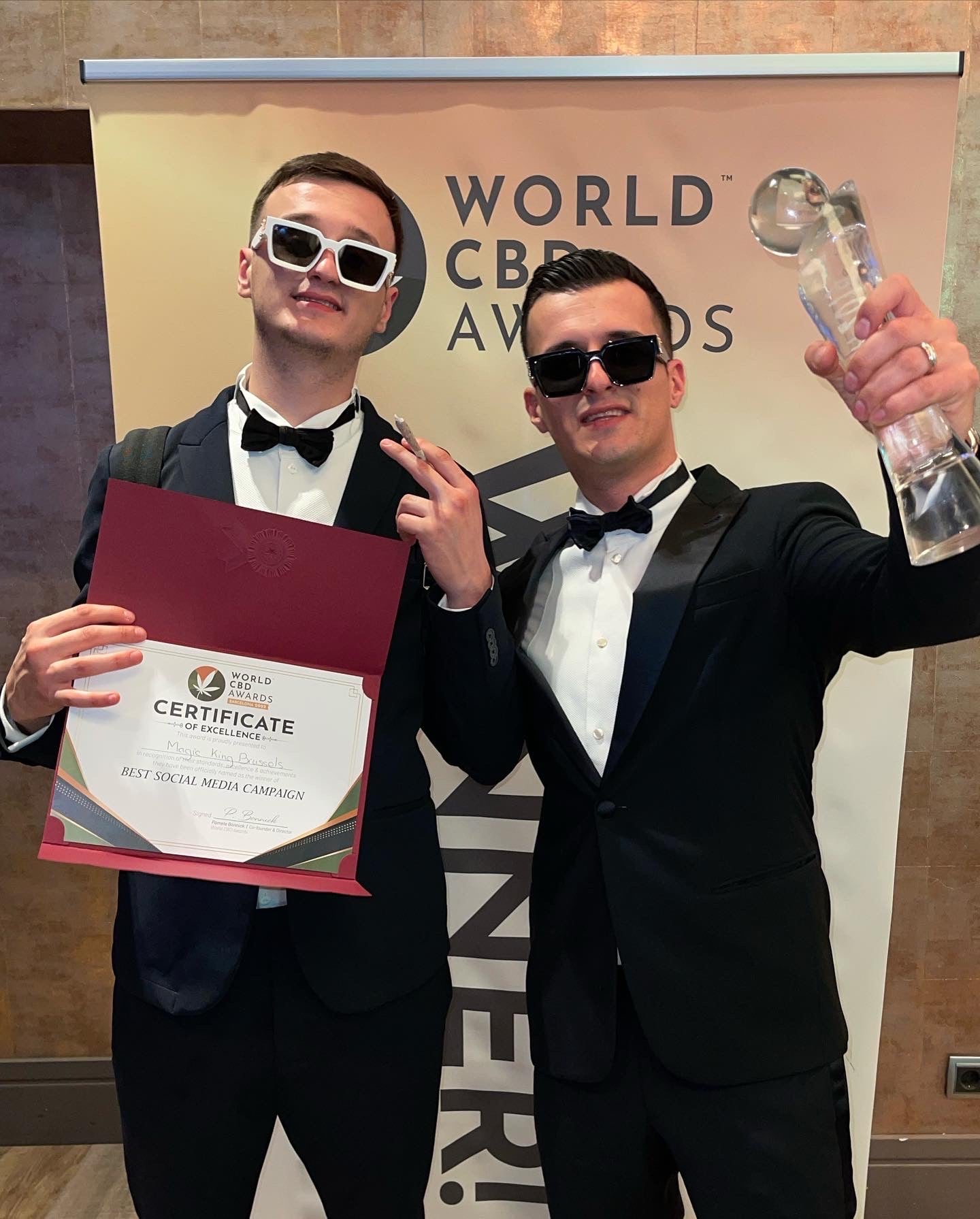 Récompenses Magic King : distinctions pour excellence, innovation et qualité premium.